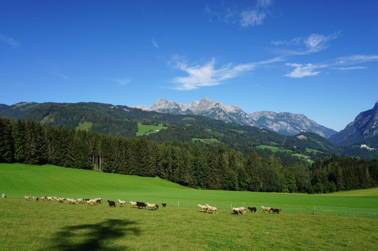 Appartement Winteraugut Werfen Exteriér fotografie