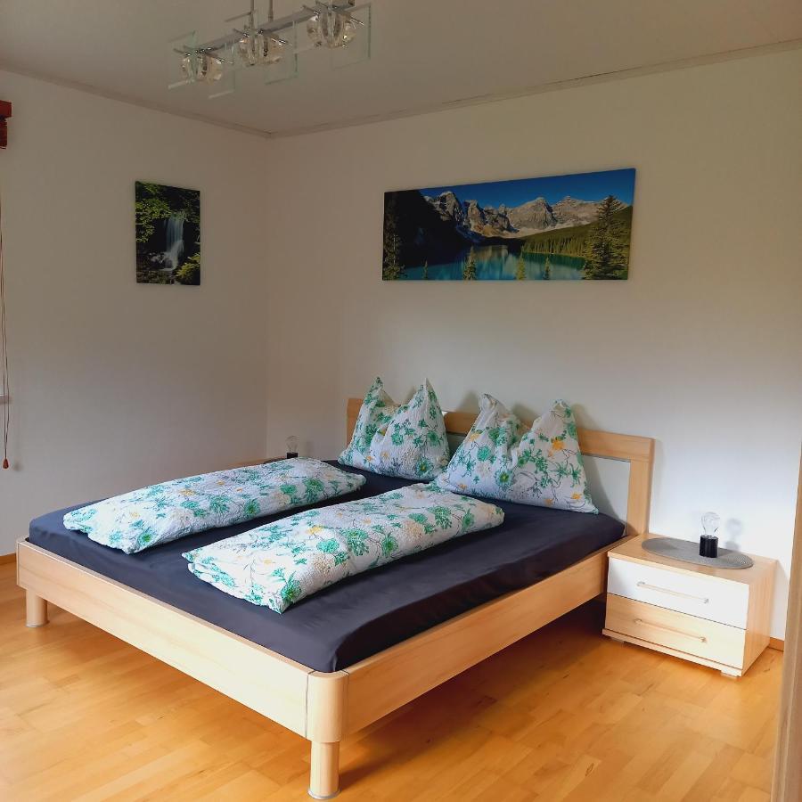 Appartement Winteraugut Werfen Exteriér fotografie