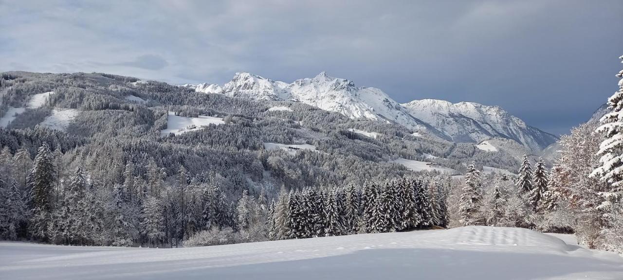 Appartement Winteraugut Werfen Exteriér fotografie