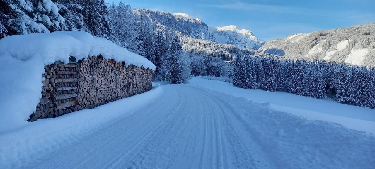 Appartement Winteraugut Werfen Exteriér fotografie